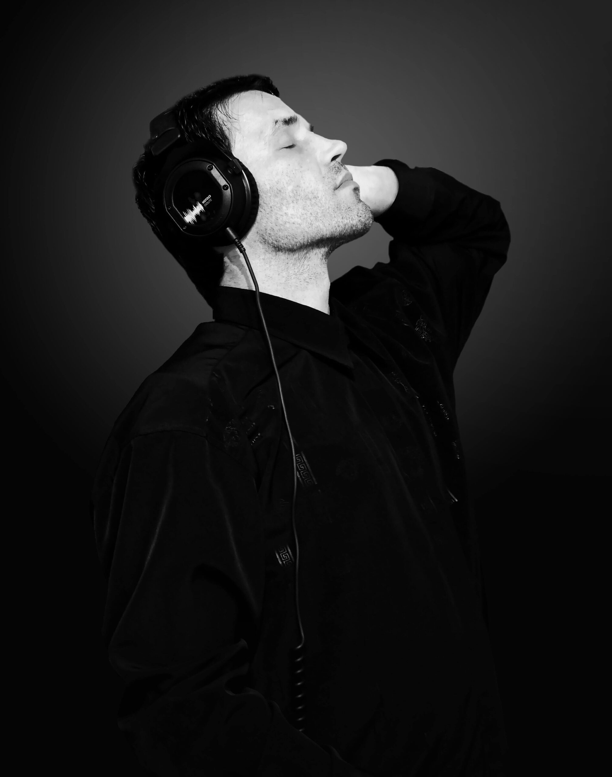 L'univers des dinosaures – Image 4